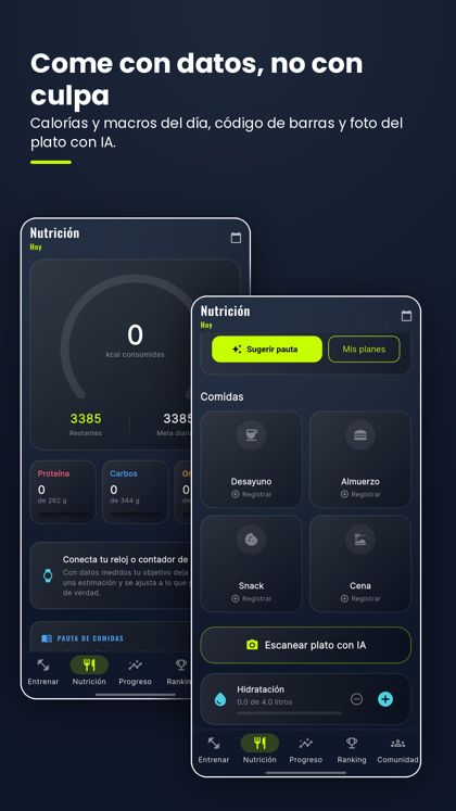 Pauta de alimentación en Crisol